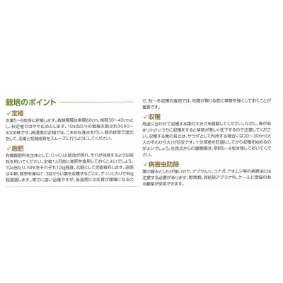 画像7: 送料無料　ちりめんケール　カーリーレッド　コート種子30粒　松永種苗(株)