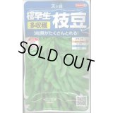 送料無料　[枝豆]　天ヶ峰　約50粒　(株)サカタのタネ　実咲250（003150）
