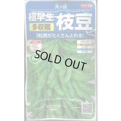 画像1: 送料無料　[枝豆]　天ヶ峰　約50粒　(株)サカタのタネ　実咲250（003150）