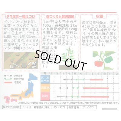 画像2: 送料無料　[ピーマン]　フルーツパプリカ　セニョリータ　ミックス　約10粒　(株)サカタのタネ　実咲550（002904）