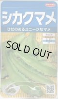 送料無料　[豆類]　シカクマメ　約20粒　(株)サカタのタネ　実咲350（003127）