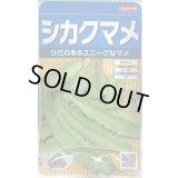 送料無料　[豆類]　シカクマメ　約20粒　(株)サカタのタネ　実咲350（003127）