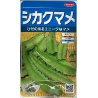 [豆類]　シカクマメ　約20粒　サカタのタネ（株）実咲300