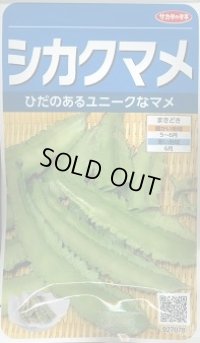送料無料　[豆類]　シカクマメ　約20粒　(株)サカタのタネ　実咲350（003127）