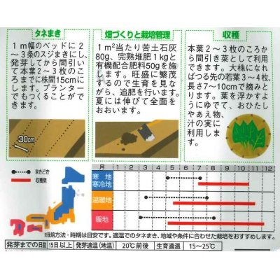 画像2: [葉物]　つるな　約85粒　サカタのタネ（株）　実咲200