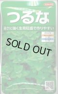 送料無料　[葉物]　つるな　約85粒　(株)サカタのタネ　実咲250（002975）