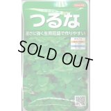 送料無料　[葉物]　つるな　約85粒　(株)サカタのタネ　実咲250（002975）