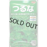 送料無料　[葉物]　つるな　約85粒　(株)サカタのタネ　実咲250（002975）