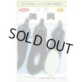 送料無料　[なす]　美男　0.4ml(およそ60粒)　(株)渡辺採種場
