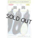 送料無料　[なす]　美男　0.4ml(およそ60粒)　(株)渡辺採種場