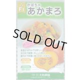 送料無料　[かぼちゃ]　あかまろ　10粒　大和農園