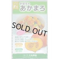 送料無料　[かぼちゃ]　あかまろ　10粒　大和農園