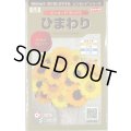 送料無料　花の種　ひまわり　ビンセント　ミックス　40粒　(株)サカタのタネ　実咲500（026388）
