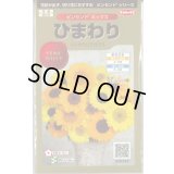 送料無料　花の種　ひまわり　ビンセント　ミックス　40粒　(株)サカタのタネ　実咲500（026388）