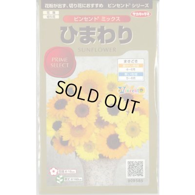 画像1: 送料無料　花の種　ひまわり　ビンセント　ミックス　40粒　(株)サカタのタネ　実咲500（026388）