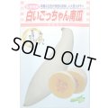 送料無料　[かぼちゃ]　白いごっちゃん南瓜　10粒　松永種苗(株)