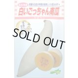 送料無料　[かぼちゃ]　白いごっちゃん南瓜　10粒　松永種苗(株)