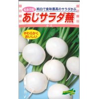 [かぶ]　あじサラダ蕪　3.5ml　松永種苗（株）