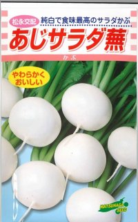 [かぶ]　あじサラダ蕪　3.5ml　松永種苗（株）