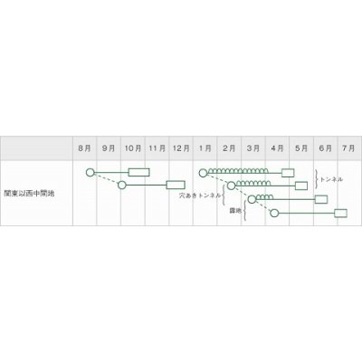 画像3: [かぶ]　あじサラダ蕪　3.5ml　松永種苗（株）