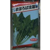 [ほうれんそう]　まほろば法蓮草　1L　（株）サカタのタネ