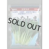 送料無料　[小松菜]　つなしま　2dl　（株）サカタのタネ