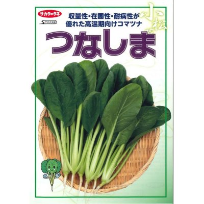 画像2: [小松菜]　つなしま　2dl　サカタ交配　
