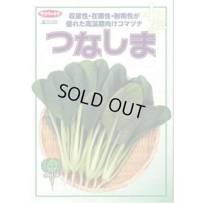 画像2: [小松菜] つなしま 20ml （株）サカタのタネ