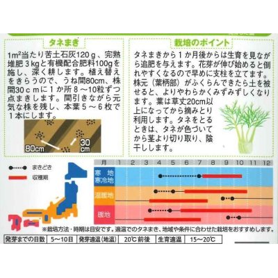 画像2: [ハーブの種]　フェンネル　約120粒　サカタのタネ　実咲