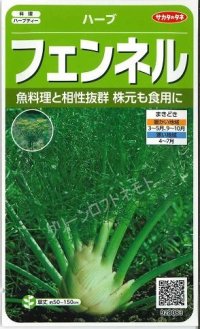 送料無料　[ハーブの種]　フェンネル　約120粒　(株)サカタのタネ　実咲（003189）