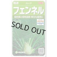 送料無料　[ハーブの種]　フェンネル　約120粒　(株)サカタのタネ　実咲（003189）