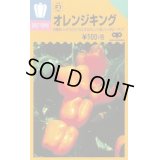 送料無料　[ピーマン]　ジャンボピーマン　オレンジキング　15粒　中原採種場(株)