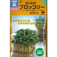 送料無料　[葉物]　スプラウト種子　かいわれブロッコリー　25ml　スプラウト専用(無消毒種子)　中原採種場(株)
