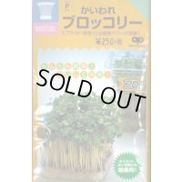 送料無料　スプラウト種子　かいわれブロッコリー　25ml　スプラウト専用(無消毒種子)　中原採種場(株)