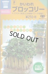 送料無料　スプラウト種子　かいわれブロッコリー　25ml　スプラウト専用(無消毒種子)　中原採種場(株)