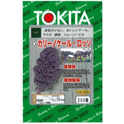 画像1: [葉物]　ケール　カリーノケール・ロッソ　200粒　トキタ種苗（株）