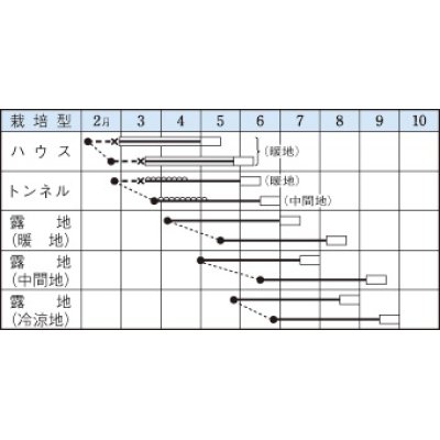 画像2: [枝豆]　富貴　1L　タキイ種苗