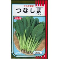 送料無料　[小松菜]　つなしま　20ml　（株）サカタのタネ
