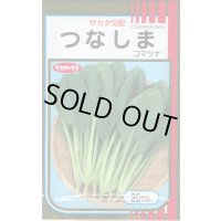 送料無料　[小松菜]　つなしま　20ml　（株）サカタのタネ