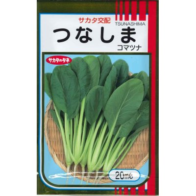 画像1: [小松菜]　つなしま　20ｍｌ　サカタ交配　