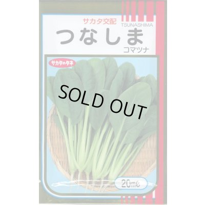 画像1: [小松菜] つなしま 20ml （株）サカタのタネ