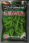 送料無料　[枝豆]　とびきり　1dl　(株)サカタのタネ