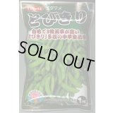 送料無料　[枝豆]　とびきり　1dl　(株)サカタのタネ