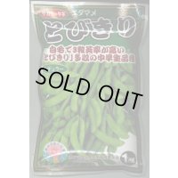送料無料　[枝豆]　とびきり　1dl　(株)サカタのタネ