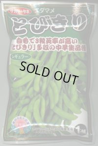 送料無料　[枝豆]　とびきり　1dl　(株)サカタのタネ