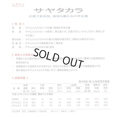 画像3: [枝豆]　サヤタカラ　1L　雪印種苗(株)