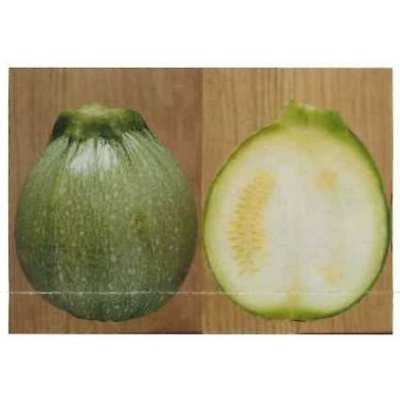 画像5: 送料無料　[ズッキーニ]　パリーノシリーズ　10粒　ジャッロ　トキタ種苗(株)