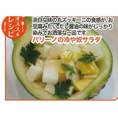 画像6: 送料無料　[ズッキーニ]　パリーノシリーズ　10粒　ジャッロ　トキタ種苗(株)