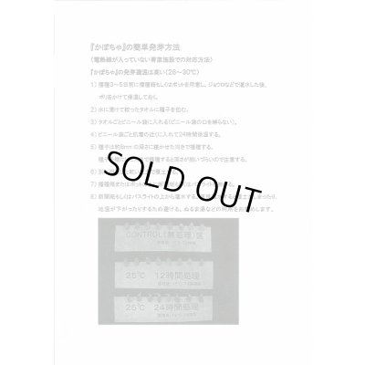 画像5: 送料無料　[かぼちゃ]　恋するマロン　100粒　カネコ種苗（株）