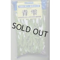 [枝豆]　青雫　1L　雪印種苗(株)